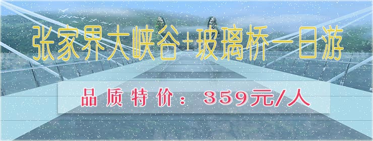 山東岱東人力資源管理有限公司 